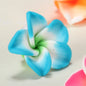 Plumeria Clay Beads 20mm Tropical Colors Polymer 10pcs 15