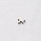 Stainless Steel Jigsaw Puzzle Metal Beads 10mm Flat Cut 10pcs 6