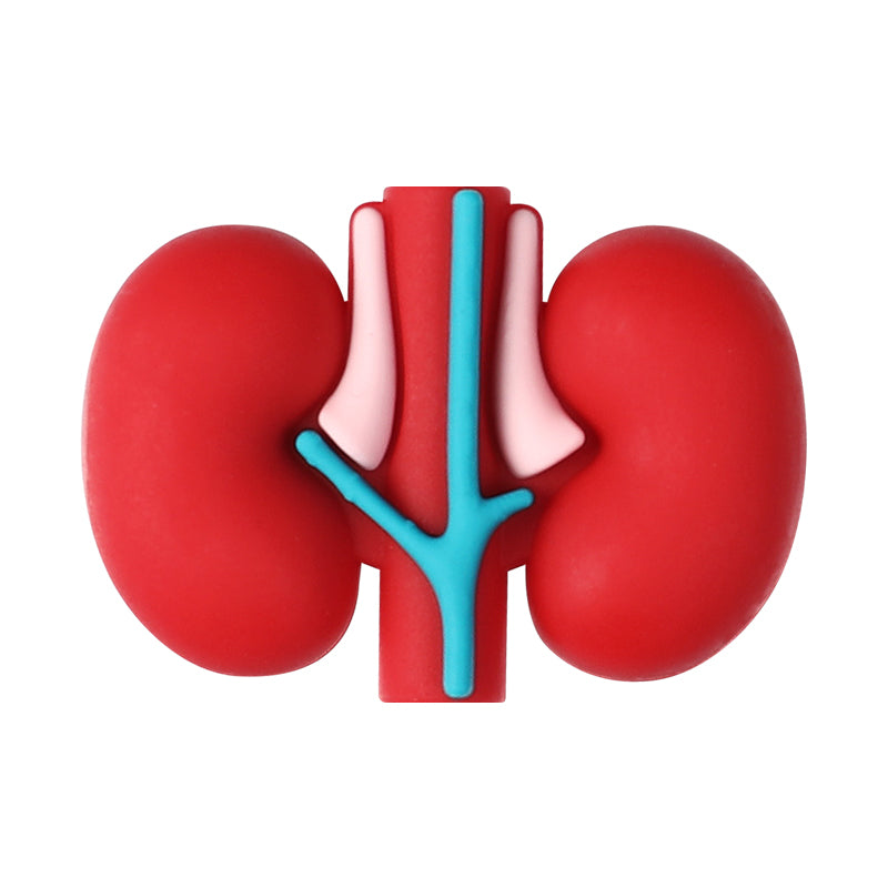Silicone 3D Focal Beads Cartoon Organs Anatomical Shapes 20pcs 12