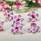 Plumeria Clay Beads 20mm Tropical Colors Polymer 10pcs 14