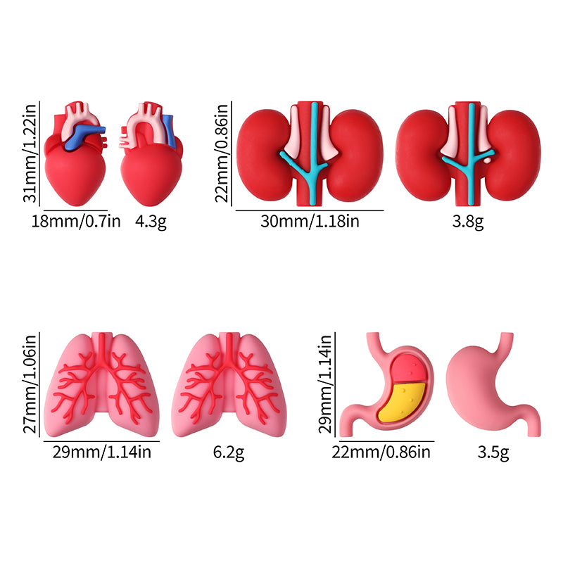 Silicone 3D Focal Beads Cartoon Organs Anatomical Shapes 20pcs 10