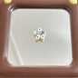 White Doodle Kitten Star Acrylic Beads 19mm Glossy 10pcs 4