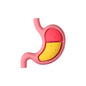 Silicone 3D Focal Beads Cartoon Organs Anatomical Shapes 20pcs 13