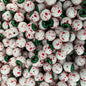23 Halloween Printed Silicone Beads
