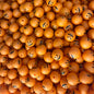4-#159 Halloween Printed Silicone Beads