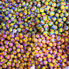 15mm Silicone Beads Printed Splatter Paint Design 50pcs
