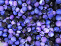 15mm Silicone Beads Purple Galaxy Print 50pcs