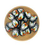 Silicone Focal Beads Halloween Ghost Pumpkin Daisy Black Background 20pcs 2