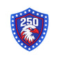 USA 250th Anniversary Silicone Focal Beads Patriotic Shapes 3D 20pcs 11