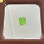 Transparent Square Acrylic Beads 16mm Watermelon Bear Designs 10pcs 7