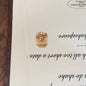 Autumn Tone Animal Square Acrylic Beads 16mm 10pcs 3