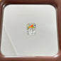 Clear Square Acrylic Beads 16mm Puppy and Kitten Pattern 10pcs 7