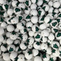 8-Christmas Printed Silicone beads