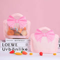 Matte Bow Zip Lock Plastic Handle Window Bags Pink Blue Red 10pcs 19x20 24x26cm 4