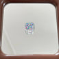 Clear Square Acrylic Beads 16mm Puppy and Kitten Pattern 10pcs 6