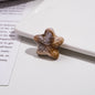 Gradient Starfish Acrylic Beads 21/38mm Two-Color Textured 10pcs 16