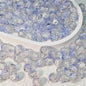 Crackle Glass Beads Round 10mm Transparent Mixed Colors 50pcs 42