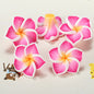 Plumeria Clay Beads 20mm Tropical Colors Polymer 10pcs 13