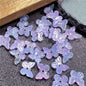 Czech Glass Beads Butterfly 11mm Gradient Purple Blue Green 50pcs 7