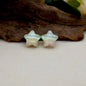 Oil Painting Star Resin Beads 19mm Iridescent Pastel 1pc 8