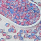 Crackle Round Glass Beads 10mm Bright Multicolor 50pcs 17