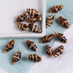 Coffee Color Ocean Creatures Ceramic Beads Hand Painted 5pcs 5