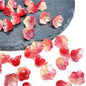 Czech Glass Beads Flower 12mm Iridescent Crystal Clear 50pcs 30