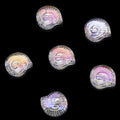 Electroplated Flat Spiral Shell Glass Beads 12mm Iridescent 30pcs 6
