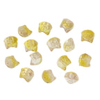 Clear Fox Head Glass Beads 14mm Transparent Playful Design 25pcs 5