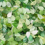 Vintage Czech Glass Leaf Glass Beads 11x18mm 100pcs 2