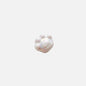 Glossy Cat Claw Acrylic Beads 18.5mm Pastel Colors 220pcs 4