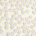 Imitation Shell Daisy Acrylic Beads 11mm Enamel Painted 20pcs 3