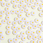 Imitation Shell Daisy Acrylic Beads 11mm Enamel Painted 20pcs 3
