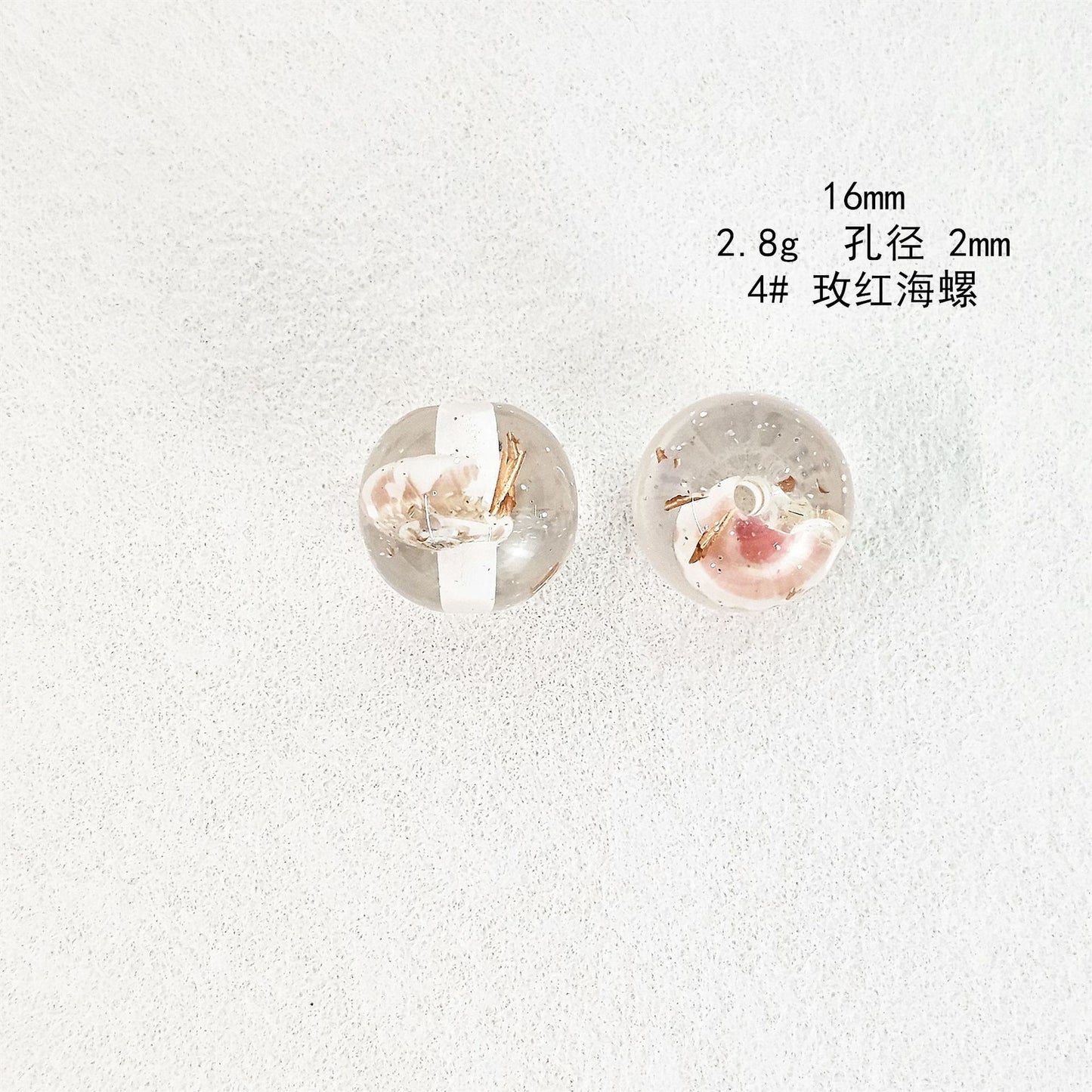 Clear Sea Snail Resin Beads 16mm Round Natural Shell 10pcs 8