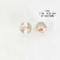 Clear Sea Snail Resin Beads 16mm Round Natural Shell 10pcs 8
