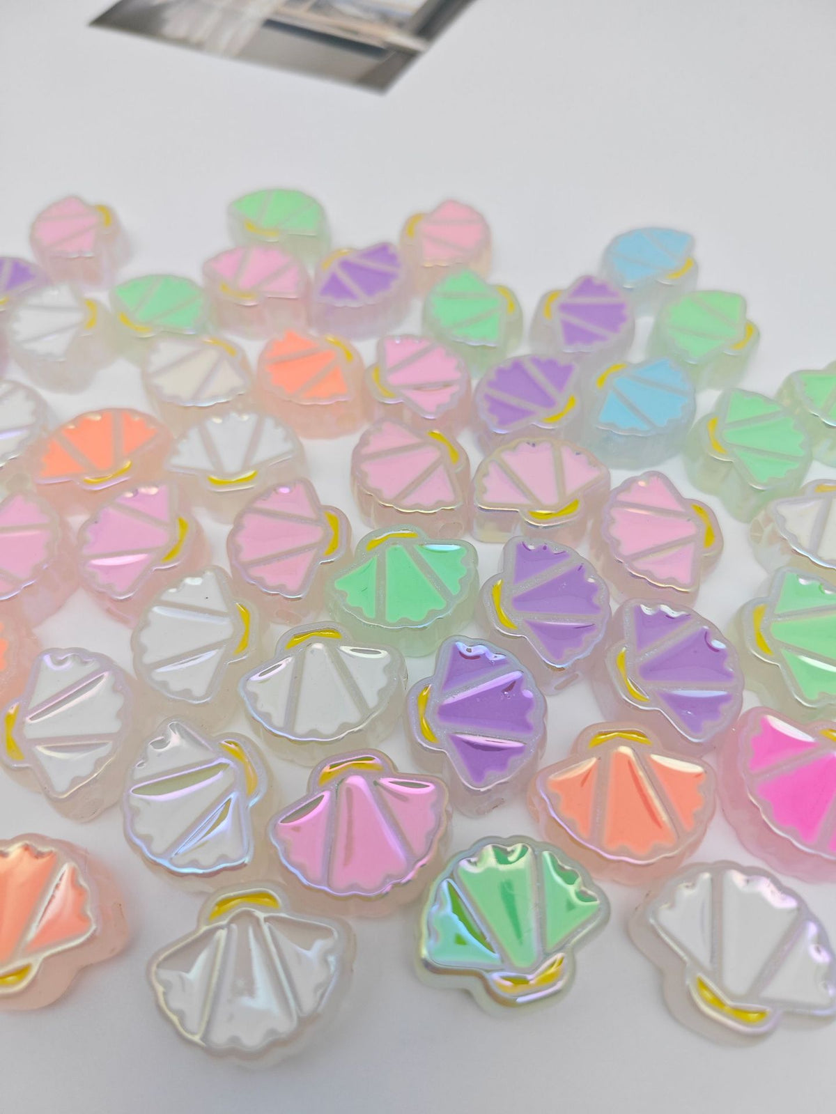 Glow Scallop Acrylic Beads 24mm Pastel Luminescent 50pcs 13