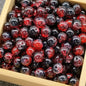 Crackle Glass Beads Round 10mm Transparent Mixed Colors 50pcs 30