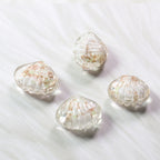 Lampwork Glass Beads Shell 14mm Phoenix Tail Pattern 10pcs 5