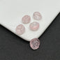 Czech Glass Beads Conch 14mm Translucent Pastel Mixed 100pcs 7