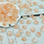 Czech Glass Beads Scallop Shell 16-18mm Frosted Pastel Colors 25pcs 7