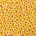 Tiny Daisy Flower Clay Beads 9mm Yellow Polymer 100pcs