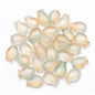 Electroplated Small Fish Glass Beads 10x14mm Translucent 30pcs 21