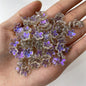 Cherry Blossom Flower Glass Beads 10mm Iridescent Mixed Colors 100pcs 19