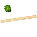 Natural Wood Measuring Rulers Smooth Grain 15cm 20cm 30cm 10pcs 5