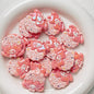Sanri Cookies Series Resin Beads 26mm Pastel Glossy 5pcs 6
