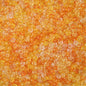 Transparent Seed Glass Beads 2mm Glossy Rainbow Colors 660pcs 35