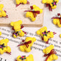 Cartoon Bear Acrylic Beads 17x24mm Pastel Colors 2pcs 10