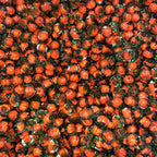 Lampwork Glass Beads Fruit Series Handmade Orange Green 10pcs 4