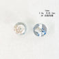 Clear Sea Snail Resin Beads 16mm Round Natural Shell 10pcs 7