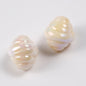 Pastel Cow Horn Wrapped Acrylic Beads 17mm Iridescent Finish 50pcs 5